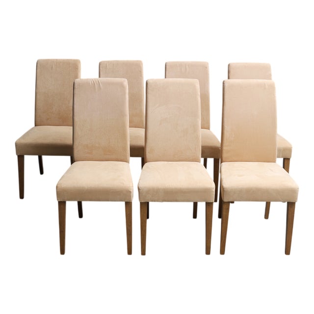 Haleywood Chairs, 2000s, Set of 7 For Sale
