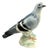Mid-Century Ceramic Pigeon Figurine from Cortendorf, West Germany, 1950s-1960s For Sale