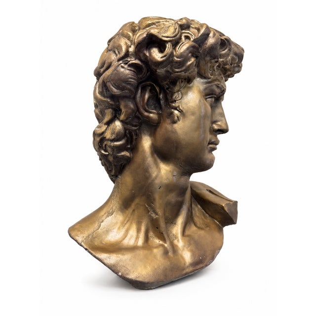 Not Yet Made - Made To Order The Uncrowned King | Cast Stone David Bust, Styled After Michelangelo For Sale - Image 5 of 8