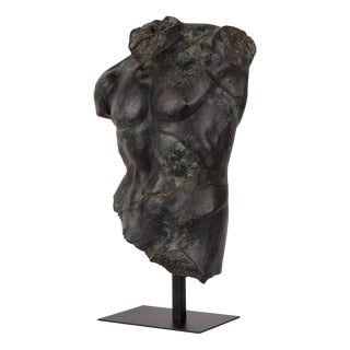 Large Bronze Maximillian Torso from Pure White Lines For Sale