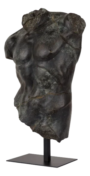 Large Bronze Maximillian Torso from Pure White Lines