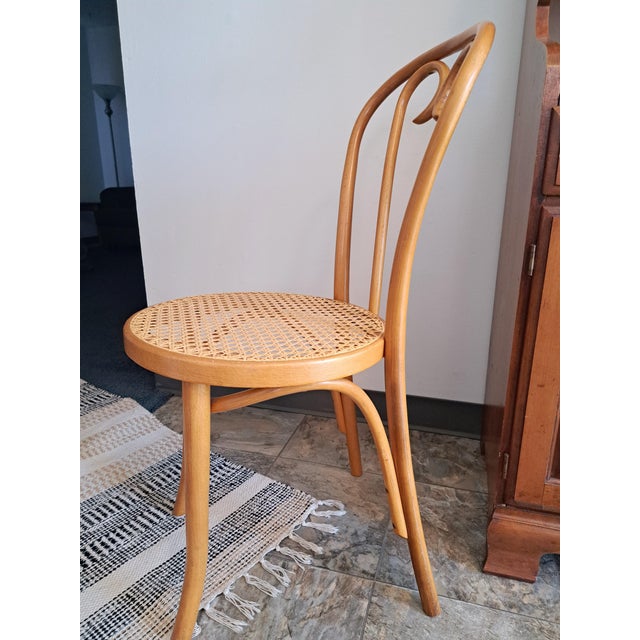 Mid-Century Modern Vintage FMG Bentwood Chair For Sale - Image 3 of 5