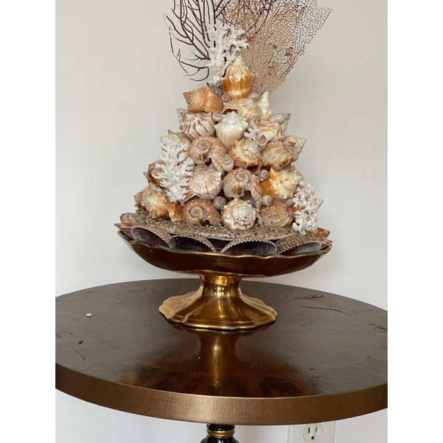 Gorgeous Sea Shell Topiary Assemblage For Sale In Miami - Image 6 of 8