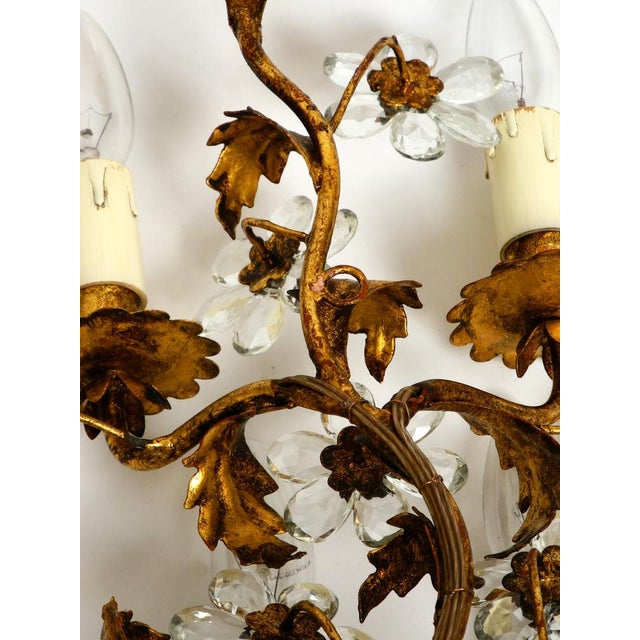 Large Italian Gold Plated Wall Lamp with Six Sockets from Banci Firenze, 1950s For Sale - Image 14 of 18