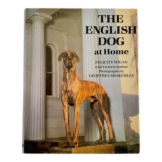 1980s The English Dog at Home For Sale