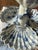 Vintage Maitland-Smith Blue and White Porcelain Pickle Stand Sweetmeat Dish – Bonnin & Morris Style – Seashell Coral Motif For Sale In Chicago - Image 6 of 10