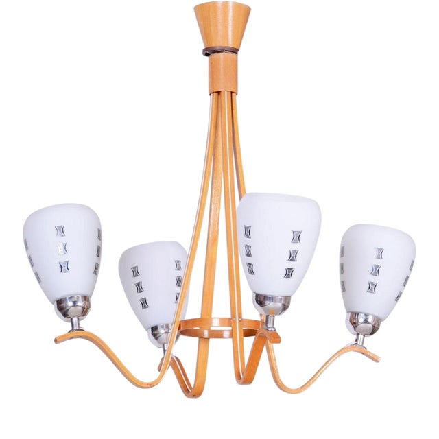 Mid-Century Chandelier in Beech and Glass from Dřevo Humpolec, Czech, 1960s For Sale