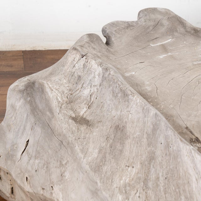 Large Organic Teak Root Bench, Circa 1940-60 For Sale - Image 4 of 12