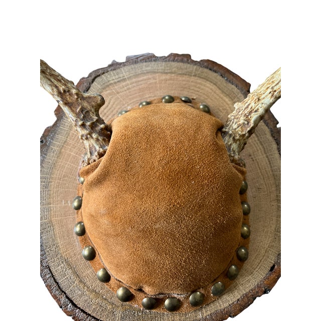 1980s Vintage Mounted Deer Antlers on Live-Edge Wood Plaque For Sale - Image 5 of 10