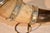1920s Circa 1920's Drinking Horn on Stand For Sale - Image 5 of 7