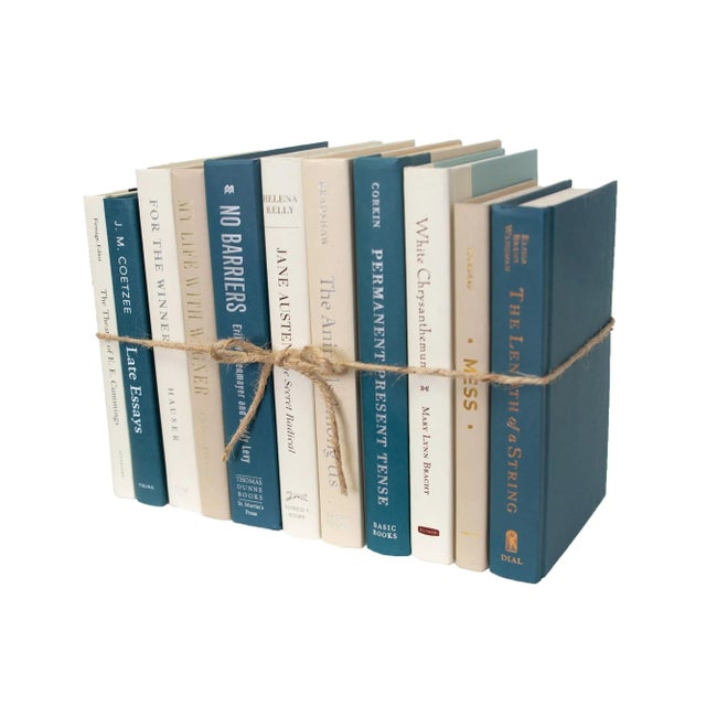 Booth & Williams Decorative Books - Northern Shore Book Bundle - 1 Foot of Blue Books For Sale - Image 4 of 4