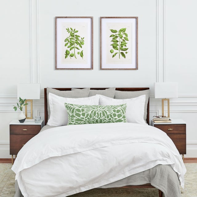 Guava Prints, Set Of 2 For Sale In Chicago - Image 6 of 6
