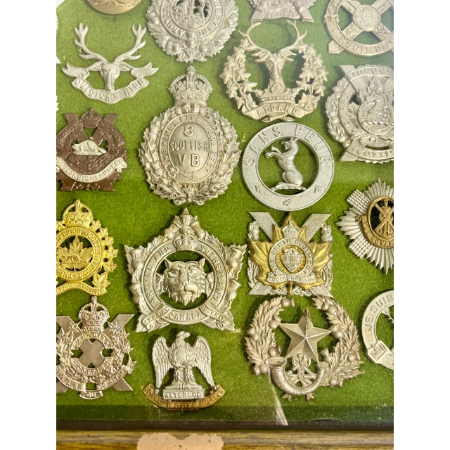 Antique Victorian Shadow Box Framed Set of 29 Scottish Military Regimental Badges For Sale - Image 10 of 18