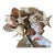 60-Piece Fine Seashell & Coral Collection For Sale