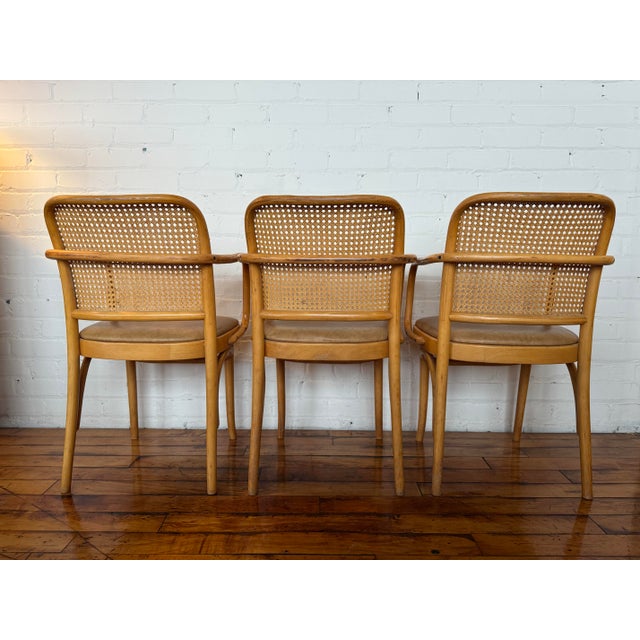 Camel Mid 20th Century Set of 3 Bentwood Thonet 811 Prague-Style Armchairs - Made in Poland For Sale - Image 8 of 10