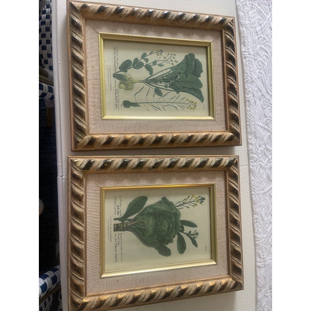 elegant small set of green BOTANICAL PRINTS SET IN CUSTOM GOLD FRAME