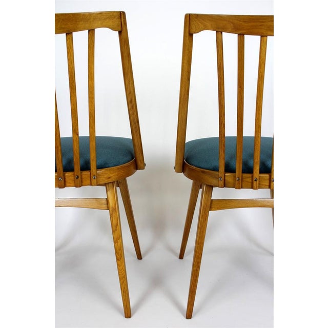 Oak Dining Chairs from Interier Praha, 1960s, Set of 4 For Sale - Image 9 of 18