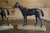 Early 20th Century Early 20th Century Bronze Horses Bookends - A Pair For Sale - Image 5 of 8