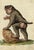 Leopold Billek, Baboon Monkey, Original Gouache Painting, 1820 For Sale - Image 3 of 3