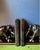 Vintage Ebony Elephant Bookends, 1950, Set of 2 For Sale - Image 4 of 11