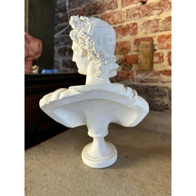 2010s Classical Plaster Bust of Apollo Belvedere | Italian Mythological Sculpture For Sale - Image 5 of 6