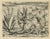 New World Flora, 1601, Paper For Sale - Image 3 of 7