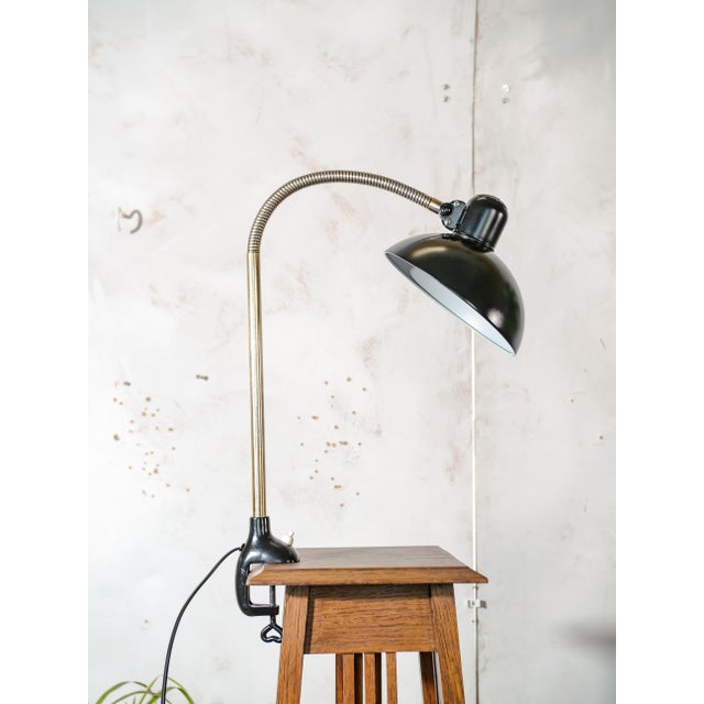 Antique Bauhaus Gooseneck 6740 Clamp Lamp with Super Lampshade by Christian Dell from Kaiser Idell, 1940s For Sale - Image 14 of 14