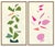 Hable Vine and Rose Petals by Susan Hable For Sale - Image 4 of 4