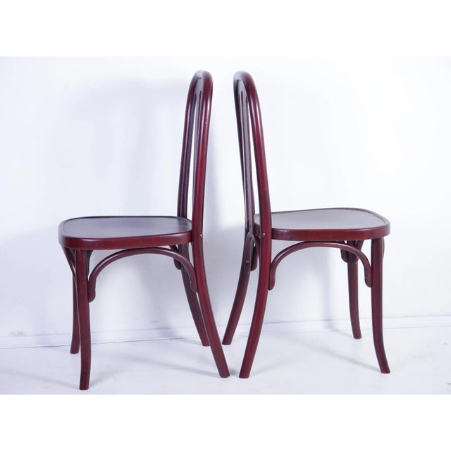 Set of Antique Chairs by Josef Hoffmann for Jacob & Josef Kohn For Sale - Image 6 of 18
