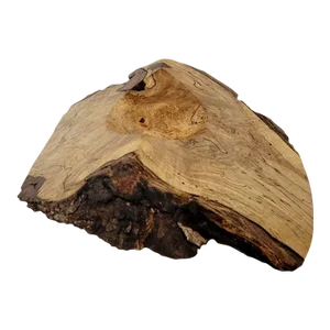Maple Burl Burlwood Art Bowl Sculpture With Bark Live Edge