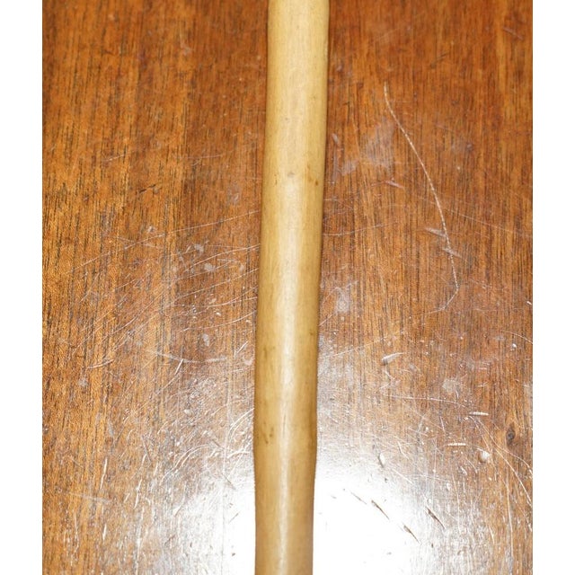 Antique Irish Knobkerrie Stick For Sale - Image 5 of 18