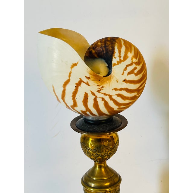 Coastal Antque Pair Nautilus Sea Shells on 19 Th C Brass Stands For Sale - Image 3 of 7