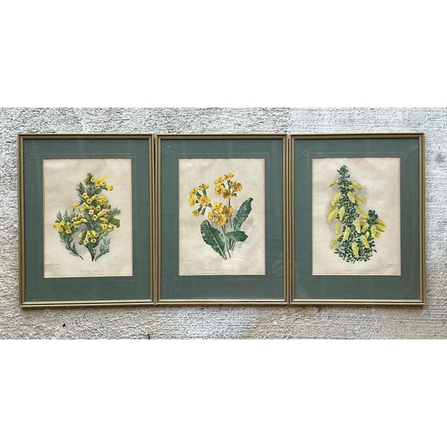 Vintage Framed Botanical Floral Illustrations - Set of 3 For Sale In West Palm - Image 6 of 12