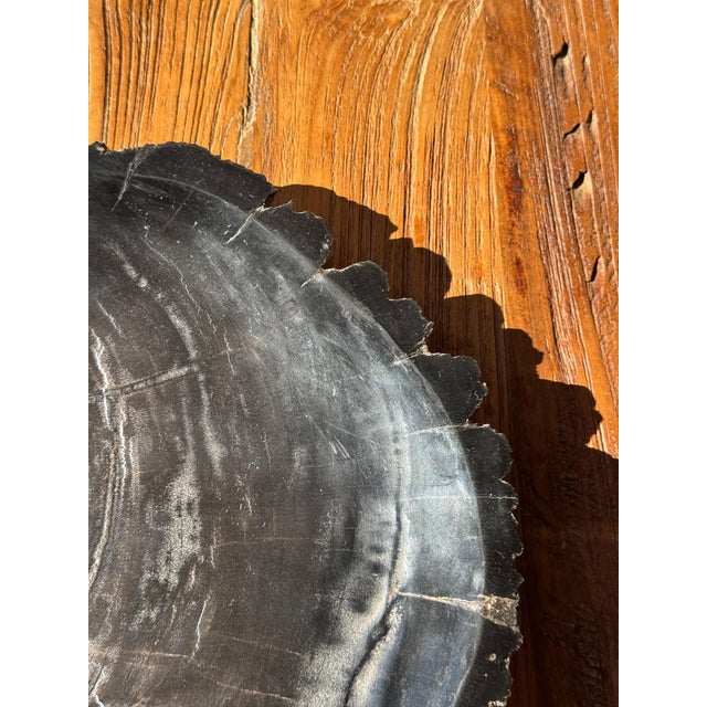 Large Trinket Tray in Black Petrified Wood For Sale - Image 11 of 16