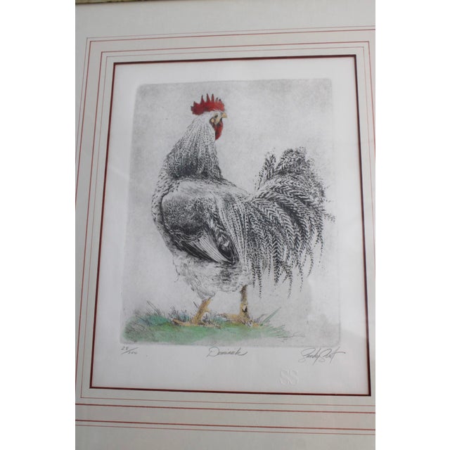 1990s Sandy Scott Signed Etching Rooster Chicken Limited Edition Framed Art Dominick For Sale In Dallas - Image 6 of 7