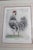 1990s Sandy Scott Signed Etching Rooster Chicken Limited Edition Framed Art Dominick For Sale In Dallas - Image 6 of 7
