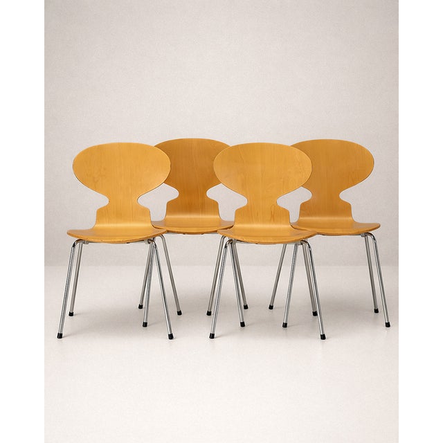 Wood Chairs by Arne Jacobsen for Fritz Hansen, 1886, Set of 4 For Sale - Image 7 of 7