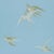 Sanderson Swallows Wallpaper in Wedgwood For Sale