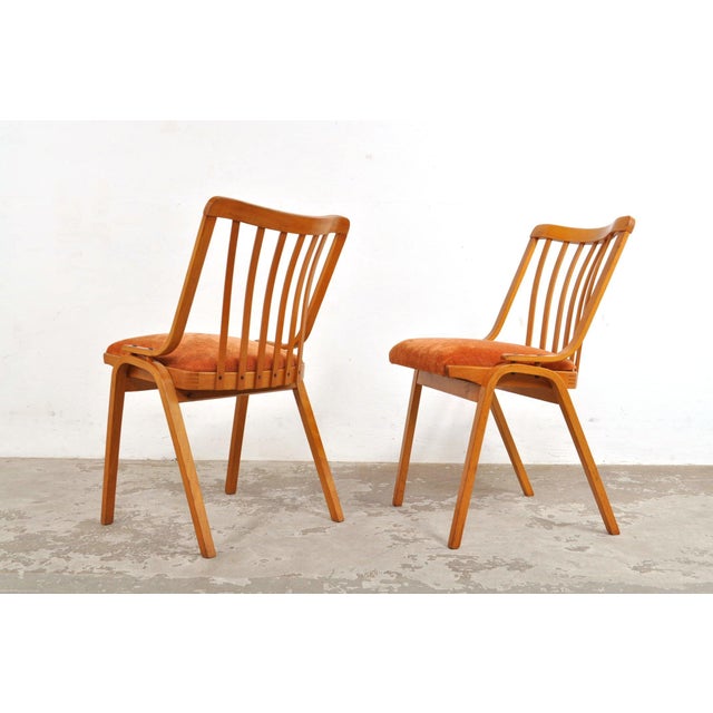 Mid-Century Modern Vintage Ludvik Volak Chairs by Ludvik Volak for Ton, 1960s, Set of 4 For Sale - Image 3 of 16