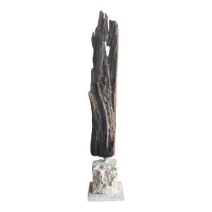 Monumental Organic Coastal Vintage Driftwood Sculpture on Coral Stone Base