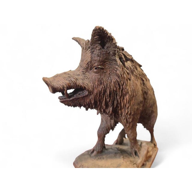 Late 19th Century Antique Black Forest Carved Warthog Sculpture, 1880 For Sale - Image 5 of 11