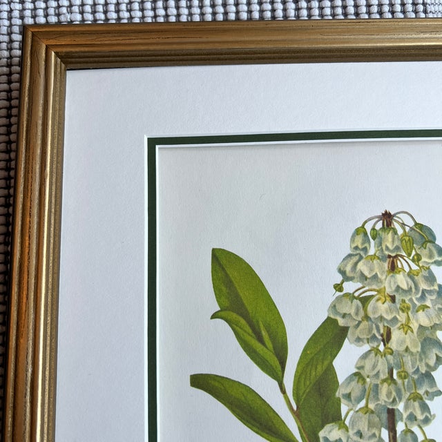 Vintage Botanical Framed Prints Set of 9- Authentic Vintage 1963 Prints ...