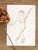 Original contemporary nude figure drawing of a female figure. Created with a traditional nib pen and walnut ink on 100%...