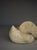 Unknown, Cast Concrete Abstract Garden Sculpture. 1970s, Concrete For Sale - Image 4 of 18