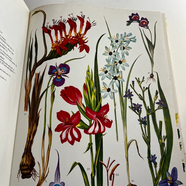1970 Wild Flowers of the World Book For Sale - Image 4 of 11