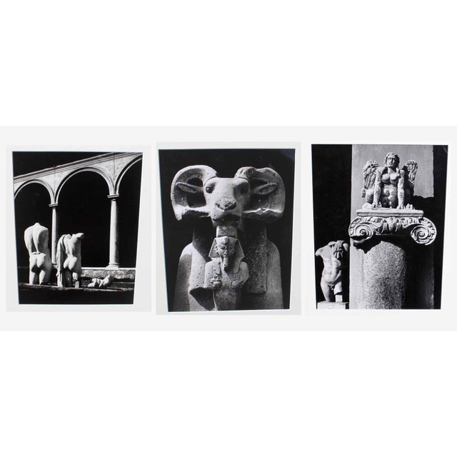Black and White Photographs of Classical Male Nude Sculpture Set of Three For Sale - Image 4 of 4