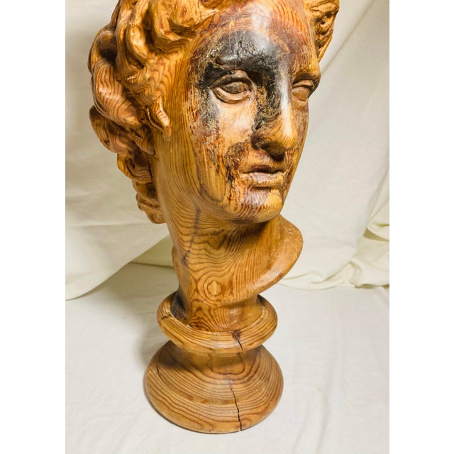 Classical Roman Vintage Hand Carved Wood Bust of the God Apollo For Sale - Image 3 of 11