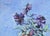 Richild Holt, Pansies, 1990, Oil Painting on Canvas, Framed For Sale - Image 4 of 12