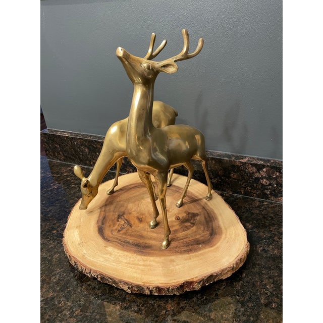Vintage Regency Brass Deer Statues a Pair For Sale In Chicago - Image 6 of 9