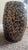 Elegant Blue & Gold Chinese Style Porcelain Garden Stool-18” For Sale In Atlanta - Image 6 of 6